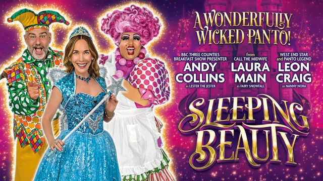 Sleeping Beauty Aylesbury artwork